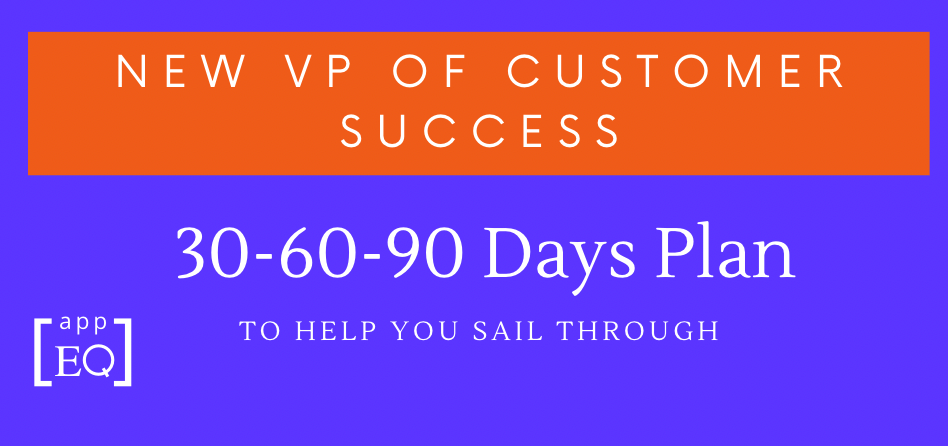 30-60-90 days plan for VP or Head of Customer Success