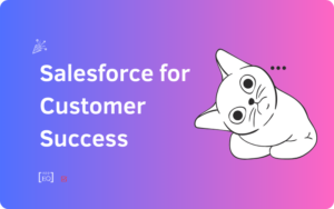 Using Salesforce for Customer Success and Account Management Teams