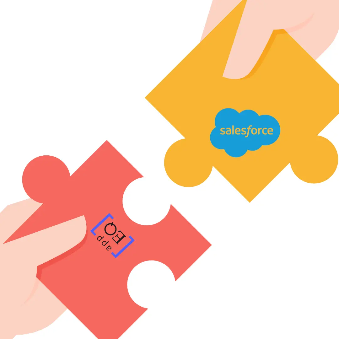 The Puzzle pieces (Salesforce for customer success) 